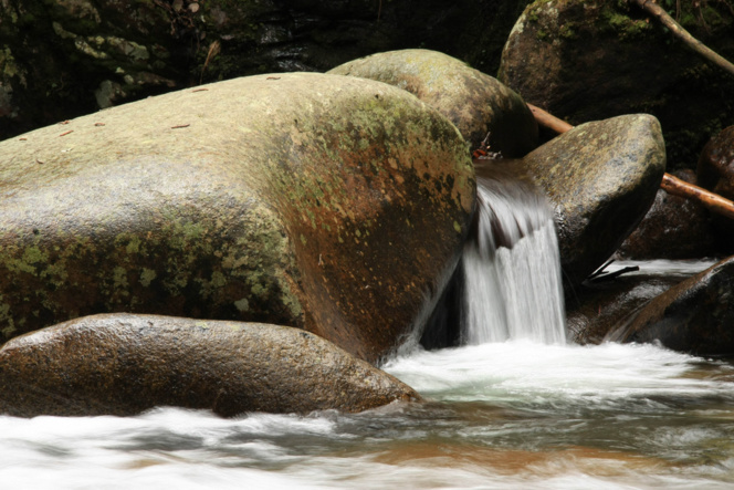Inscription NL Inscription NL
