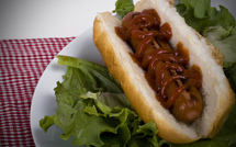 Libérez votre site. Go Mobile ! Libérez votre site. Go Mobile !