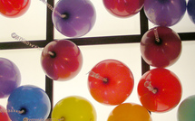 Le back office, votre plus fidèle allié
